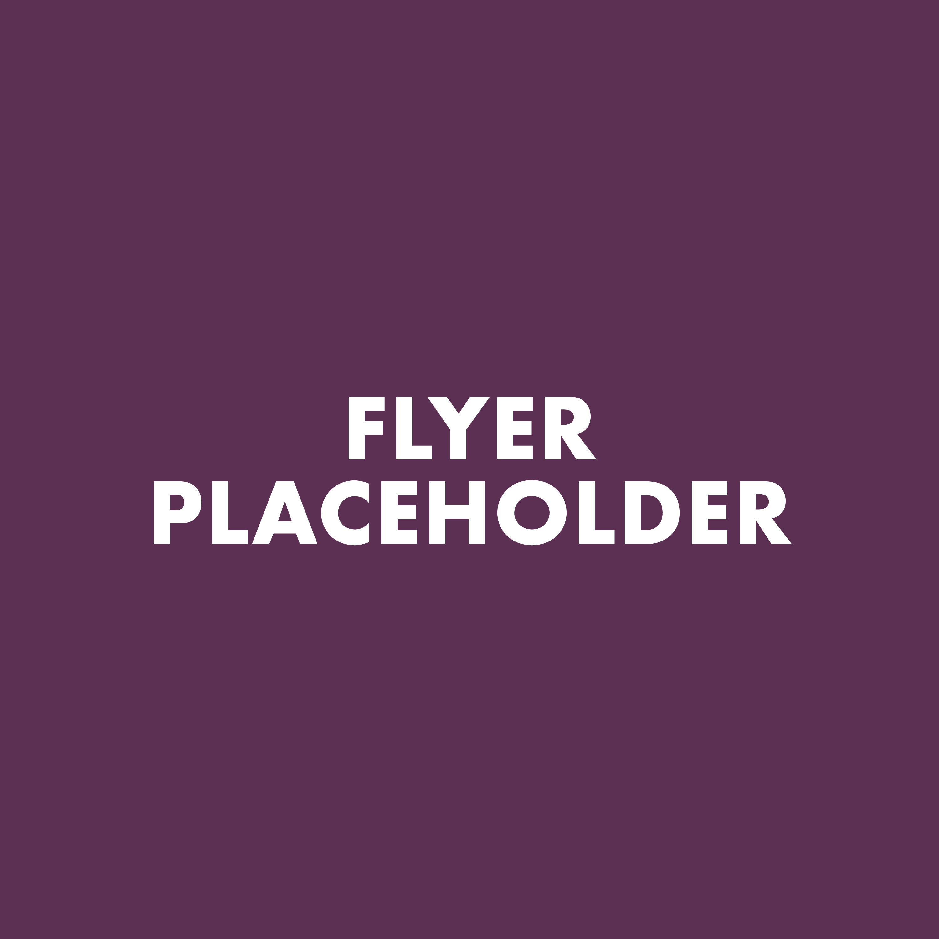 flyerAsset 2